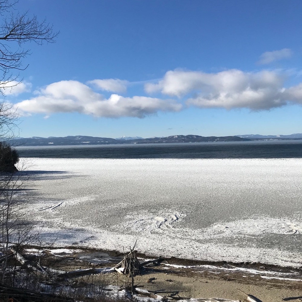 Meet your Posher, Bonnie